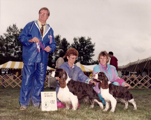 English Springer Spaniel photo: Jessie and Shrimp