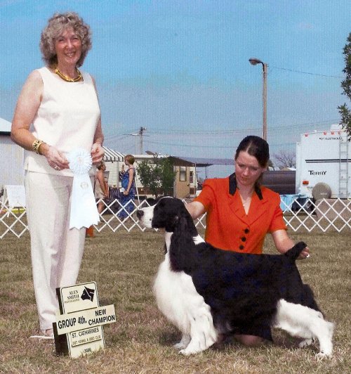English Springer Spaniel photo: A/C Ch Ramblewood Chain of Fools