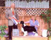 English Springer Spaniel photo: MBIS BISS A/C Ch Karmadi's Madam President