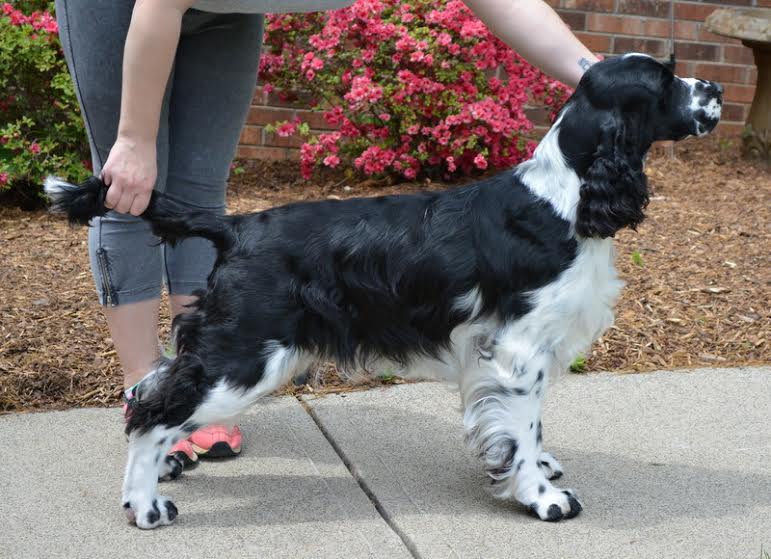 Amazing Guy Three Ponds Valley