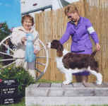 becky-june-09-best-puppy-ottawa.jpg (47646 bytes)