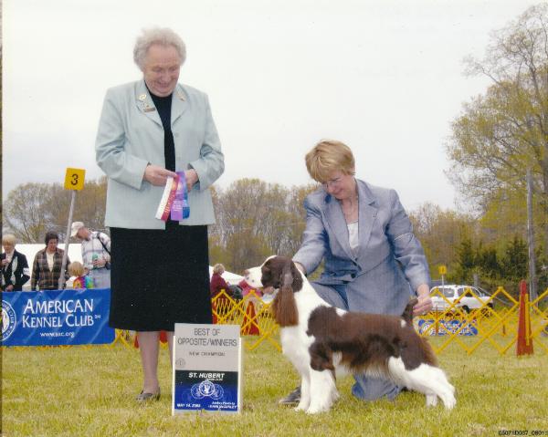 Cerise Point Of View