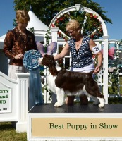 Dara winning Best Puppy In Show under Judge Honey Glendinning