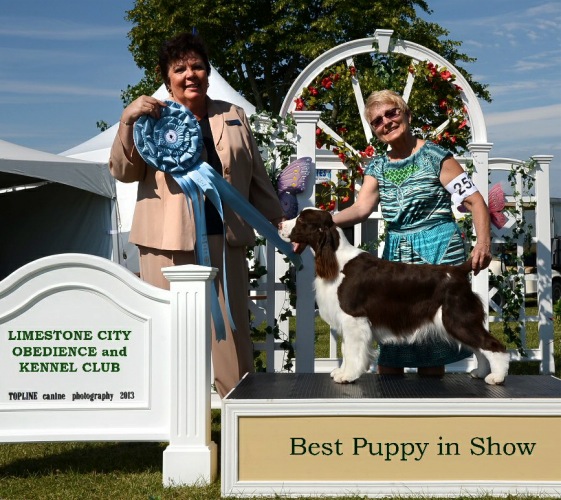 Dara winning Best Puppy In Show under Judge Leyda Perez