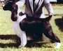 English Springer Spaniel image:  Ch Gilchrist Tomahawk