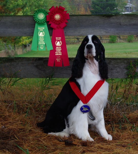 Hockey with the ribbons he won at the ESSFTA National 2011