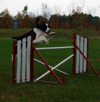 Hockey showing off at home