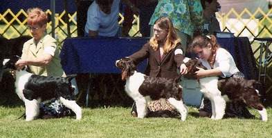 Diane Herns with 'Hockey', Heather Dowser with 'Katie' and Taylor Macdonald with 'Autumn'