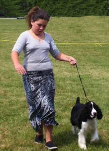 Junior Handler Taylor Macdonald with Karmadi's Time Well Wasted