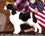 Ch Karmadi's Lady Of Longpoint