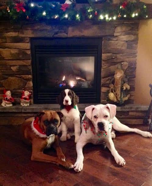 Lexi, Paige and Gator 2014