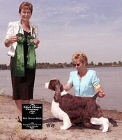 Lila winning Best Veteran and Award of Merit at the English Springer Spaniel National Specialty, August 2008
