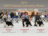 Madam at ESSFTA National 2013