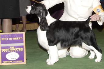 MBIS BISS A/C Ch Karmadi's Madam President