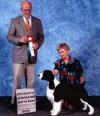 English Springer Spaniel photo: MBIS BISS A/C Ch Karmadi's Madam President