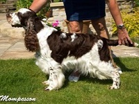 Mompesson Striker