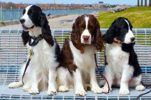 Monique,Ruthi,Winston