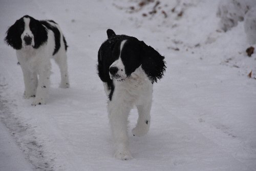 Montana and Mackenzie