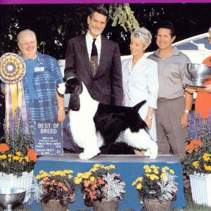 Ridgewyn N Belvoir Uprising