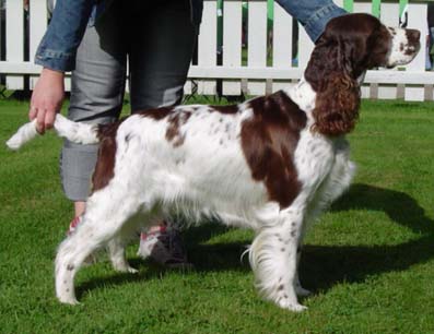 Rowntree Romantic Review