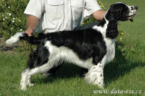 Rowntree Sweet Harmony