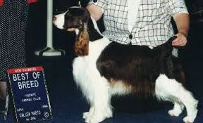 Segre's Method Of Madness