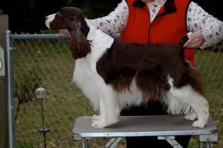 Segre's Who's Your Daddy