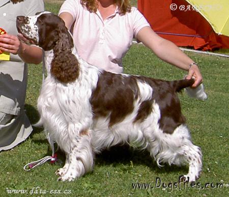 Tailwind's Esmeralda